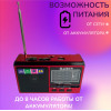 радиоприемник HAIRUN+USB+SD+фонарик+аккумулятор BL-5C FP-1510U