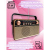радиоприемник HAIRUN+Bluetooth+USB+SD+аккумулятор 18650 HR-505BT
